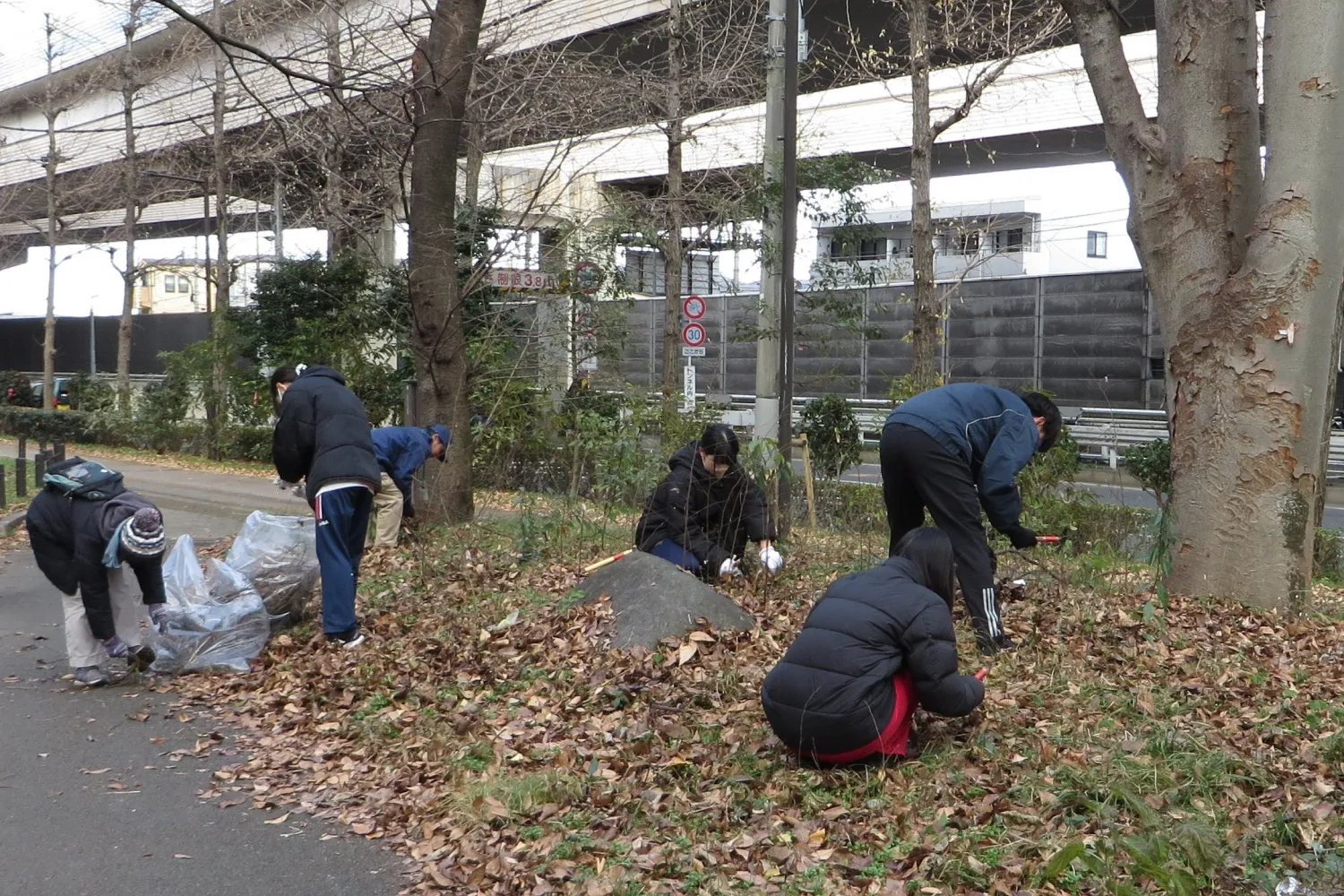 高島高校生徒会の皆さんとの手入れ作業