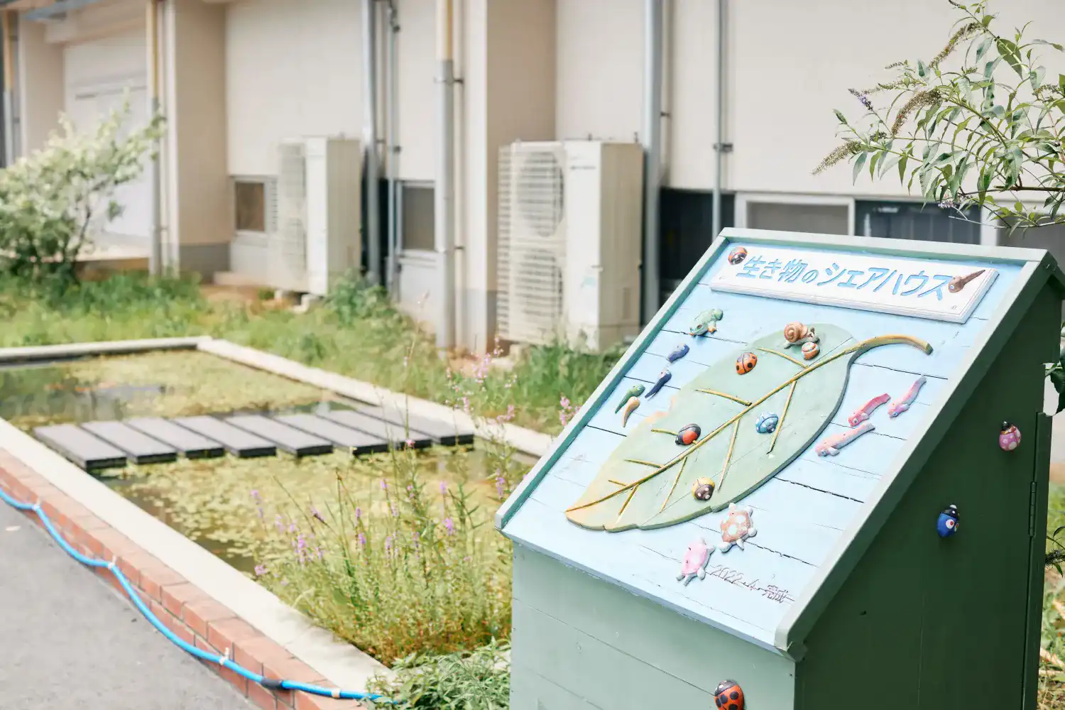 緑小学校のビオトープ「生き物たちのシェアハウス」
